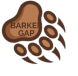 BARKER GAP